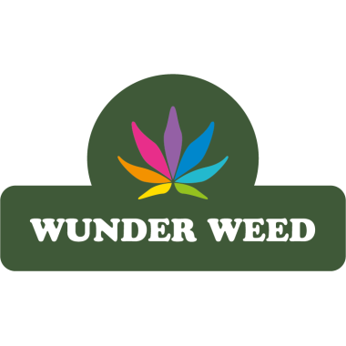 WunderBuds